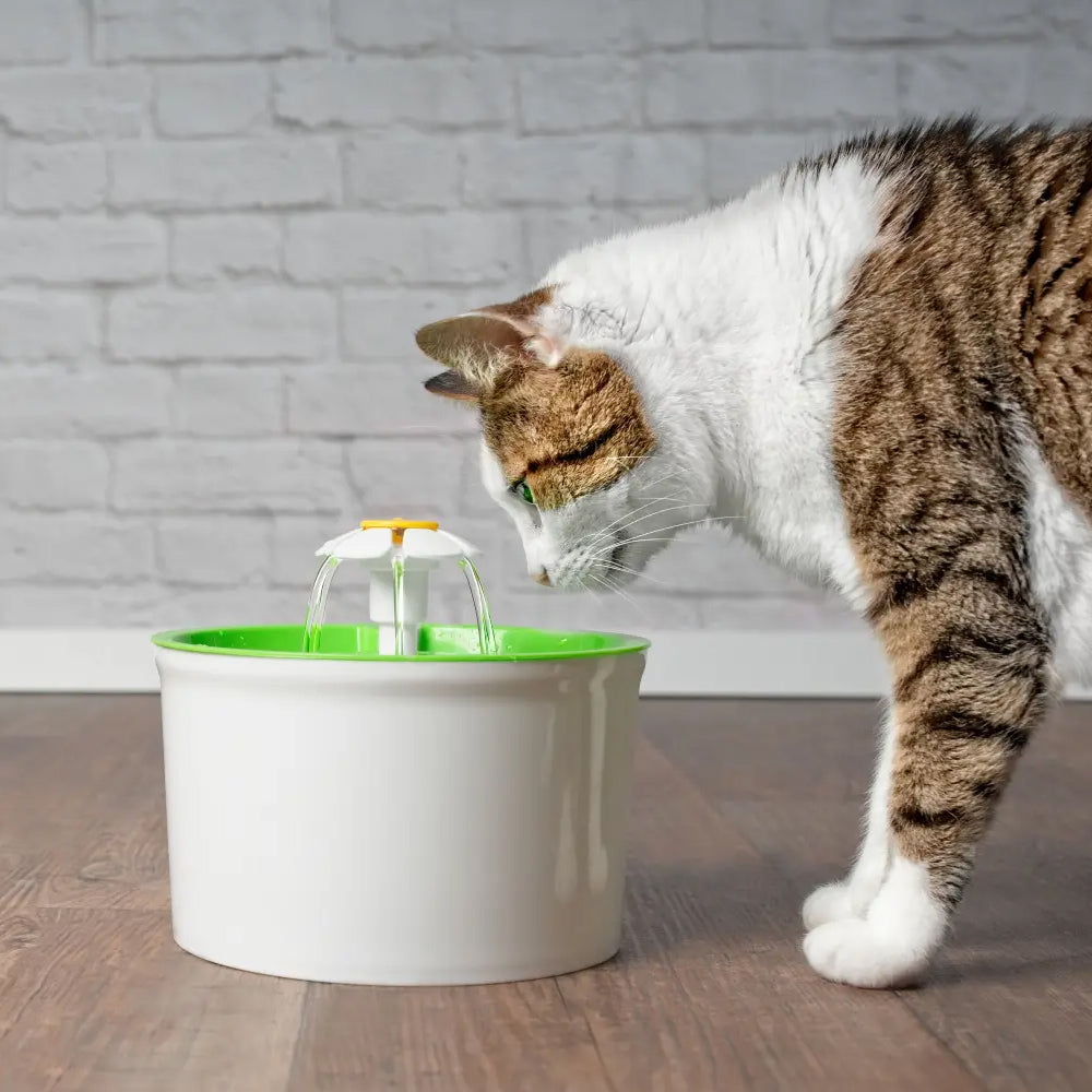 Pet Water Fountain