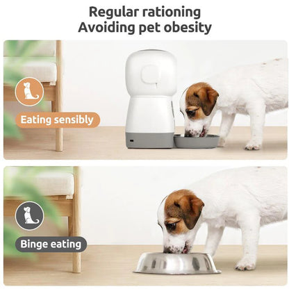 Automatic Pet Feeder with Voice Recorder & App Control 3.5L